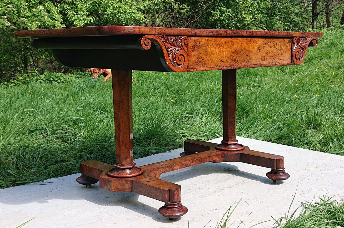 Great Colour Burr Oak Freestanding Antique 19th Century Library Table